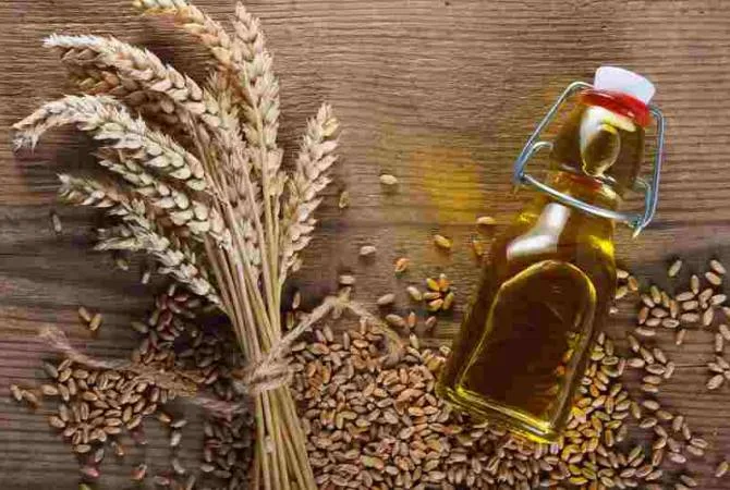 Սերբիան թույլատրել է ցորենի և բուսական յուղի արտահանումը