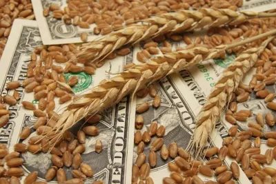 «Ձախողում վերջին պահին». արևմտյան լրատվամիջոցները անհանգիստ են հացահատիկի համաձայնագրի ճակատագրով