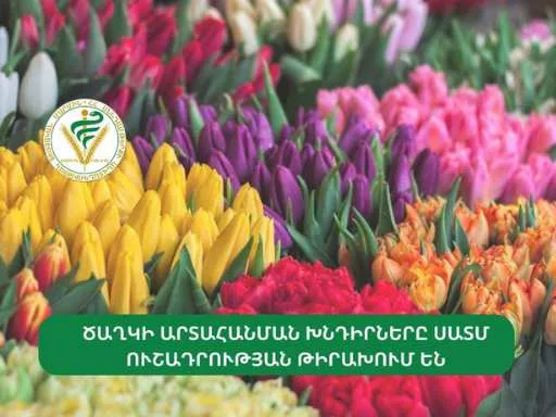 Ծաղկի արտահանման խնդիրները ՍԱՏՄ ուշադրության կենտրոնում են