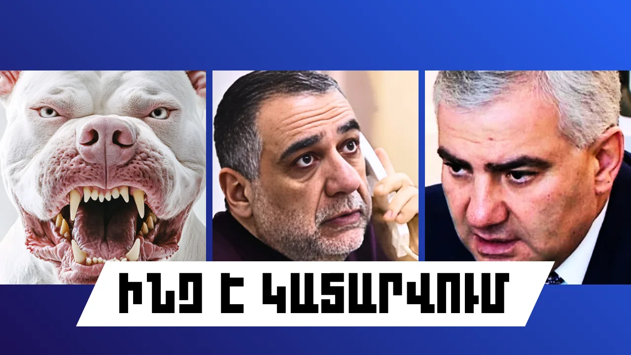 ԻՆՉ Է ԿԱՏԱՐՎՈՒՄ ՀԱՅԱՍՏԱՆՈՒՄ ԵՎ ԱՐՏԵՐԿՐՈՒՄ