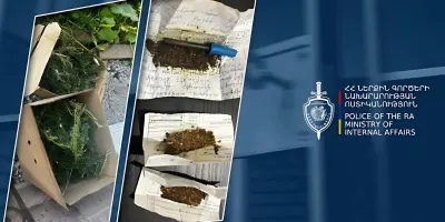 Գյումրու բնակչի տան զննությամբ հայտնաբերվել է 3 կիլոգրամից ավելի մարիխուանայի նմանվող զանգված