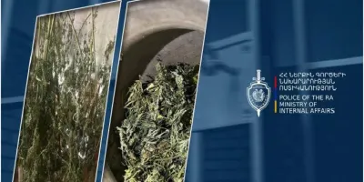 Լոռու քրեական ոստիկանները 7 կիլոգրամից ավելի թմրամիջոց են հայտնաբերել. 53-ամյա վանաձորցին ձերբակալվել է