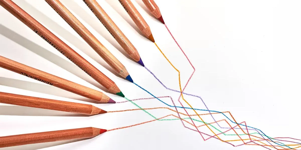 Paths Begin at the Same Point but Lead to Different Outcomes: The Cost of Choice in Business