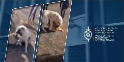 Ոստիկանները կանխել են շնամարտը