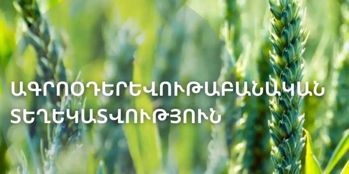 Հայաստանի տարբեր շրջաններում շարունակվում է մշակաբույսերի ակտիվ աճը