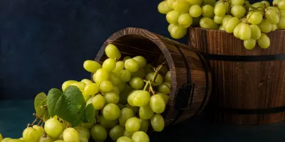 Խաղող վերամշակողների աջակցության ծրագրում փոփոխություններ են կատարվել