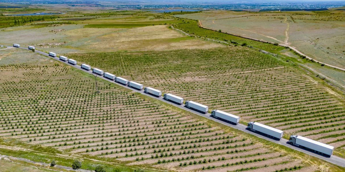 Հայկական լոլիկը կարտահանվի Եվրոպա