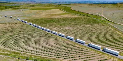Հայկական լոլիկը կարտահանվի Եվրոպա