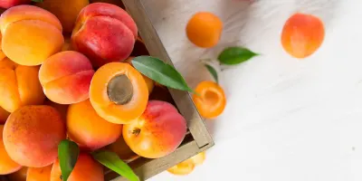 ՀՀ-ից Իսպանիա ծիրան դեռ չի արտահանվել. Էկոնոմիկայի փոխնախարար