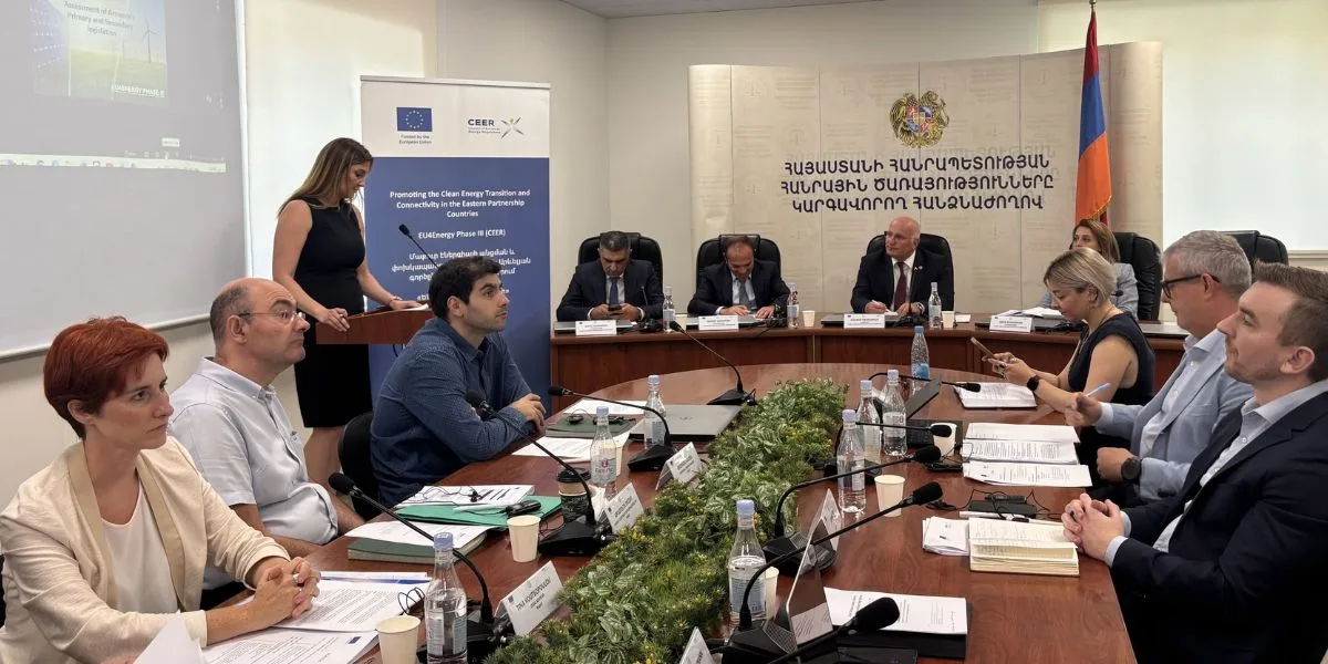ՀԾԿՀ-ում մեկնարկել են ԵՄ փորձագետների հետ քննարկումները՝ էլեկտրաէներգիայի պահեստավորման և շուկայի բարեփոխման շուրջ
