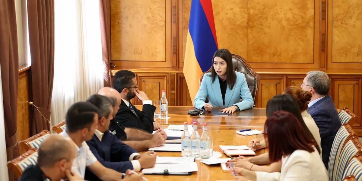 ՆԳՆ-ում քննարկվել է հաշվառման-քննական ծառայությունների արդիականացումը՝ պետություն-մասնավոր գործընկերության մոդելով