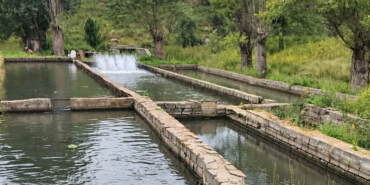 Լոռիում կասեցվել է ձկնաբուծարանի ապօրինի ջրառը. ԲԸՏՄ