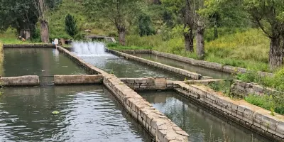 Լոռիում կասեցվել է ձկնաբուծարանի ապօրինի ջրառը. ԲԸՏՄ