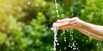 Քննարկվել են COP17-ի և կանաչ օրակարգի հարցերը